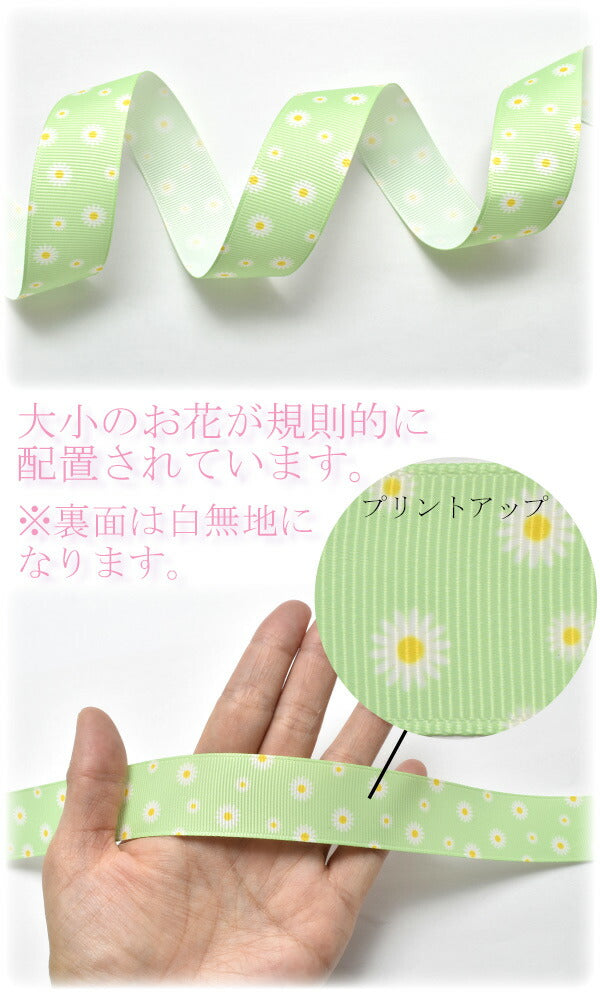 25mmプリントリボンマーガレットリボン2m「在庫限り」