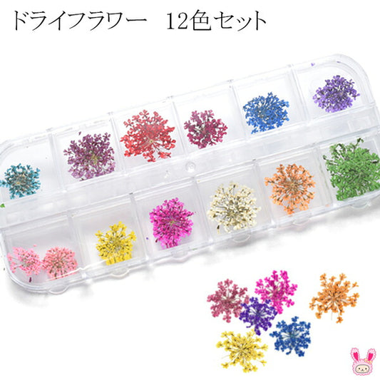 ドライフラワー12色セット23617★