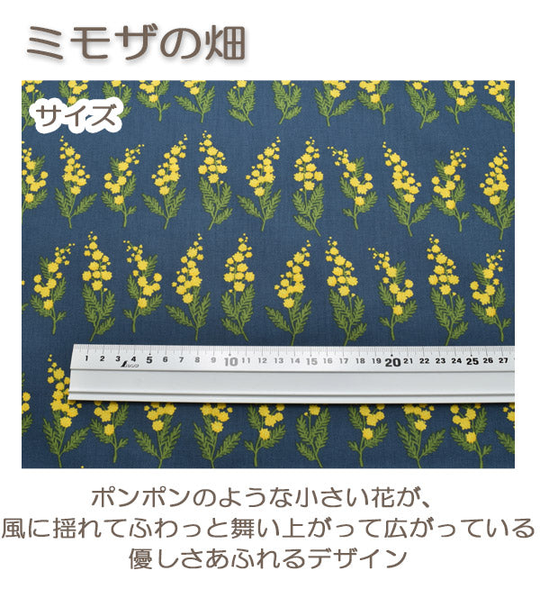 コスモミモザの花束ボーダーCピンク系AP25704-1ブロード生地(242)(30cm以上10cm単位切り売り)「在庫限り」
