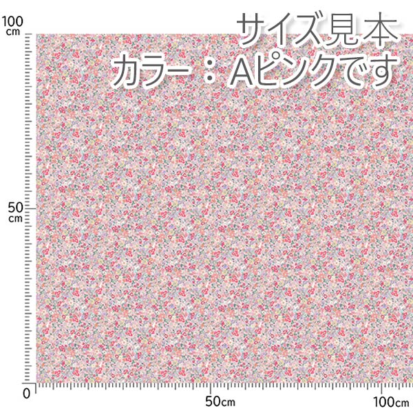 原っぱとうさぎDブラウン系シーチング生地10cm単位切り売りFR1230ノラNORA.(289)「在庫限り」
