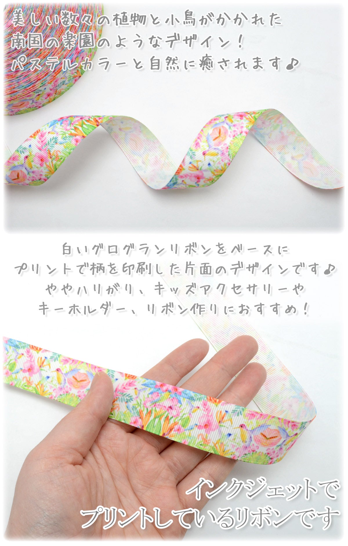 プリントリボンカラフル南国鳥と楽園リボン幅25mm2m「在庫限り」