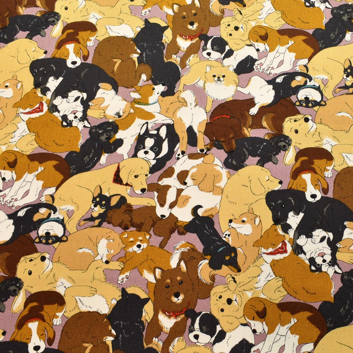 わんこ大集合　オックス生地　 AP45806-1　コスモ　(30cm以上10cm単位切り売り)