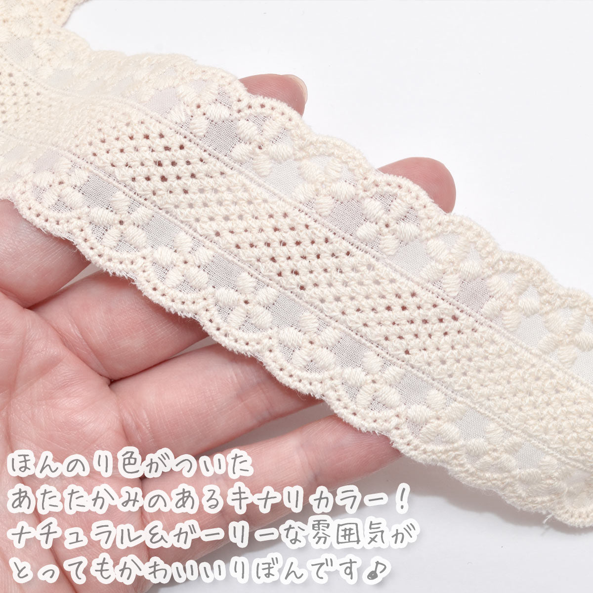 小花とメッシュラインのコットンレース幅40mm10cm単位切り売り(40cm以上)