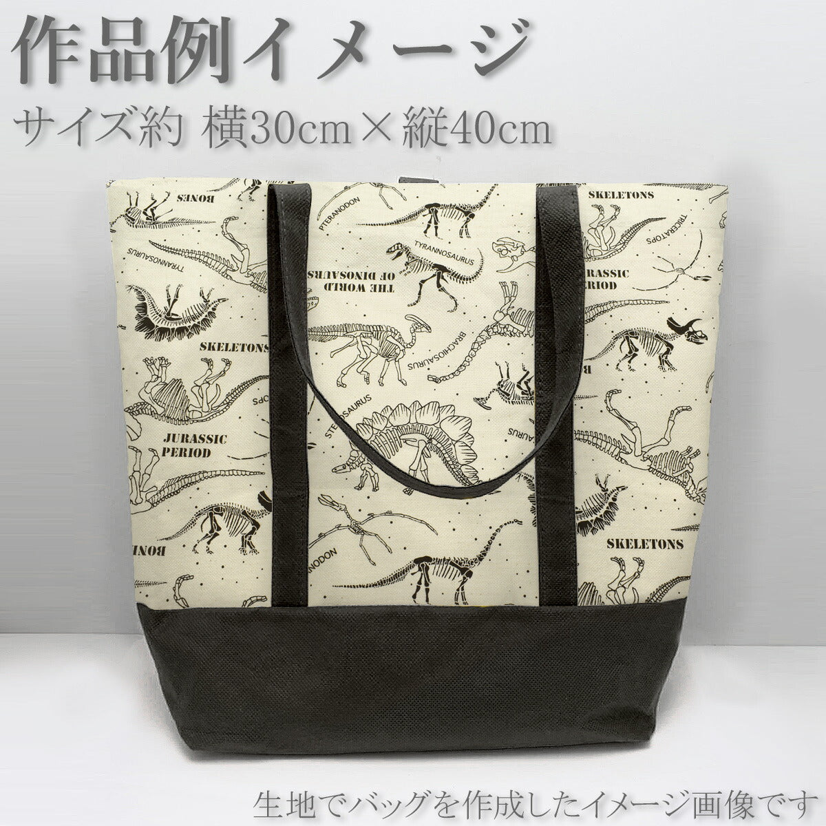 恐竜の化石標本オックス生地HSK418カナヤス(30cm以上10cm単位切り売り)「在庫限り」