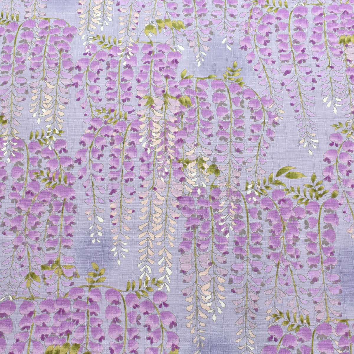 藤の花文様　サザンクロス生地　 KTS7094　コットンこばやし　(30cm以上10cm単位切り売り)☆