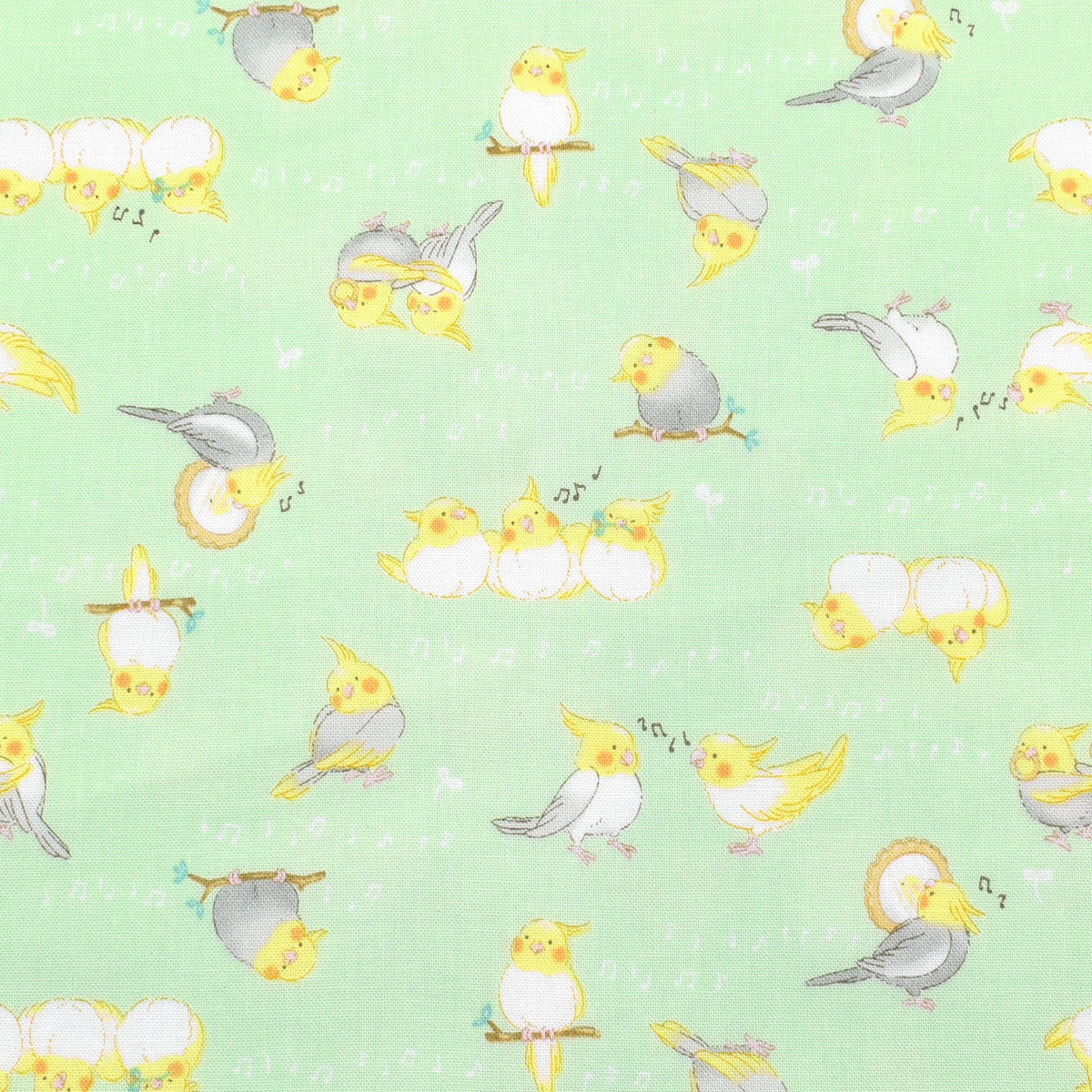 歌うなかよしインコ　シーチング生地　 AP55202-2　コスモ　(30cm以上10cm単位切り売り)