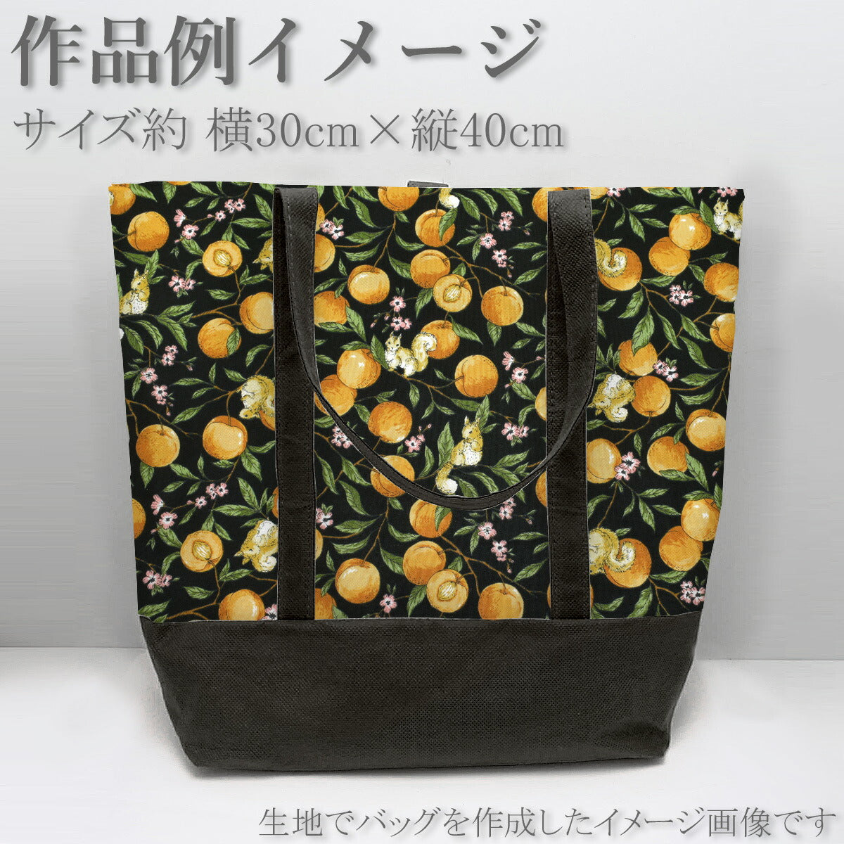 リスとアプリコットシーチング生地AP55103-1コスモ(30cm以上10cm単位切り売り)