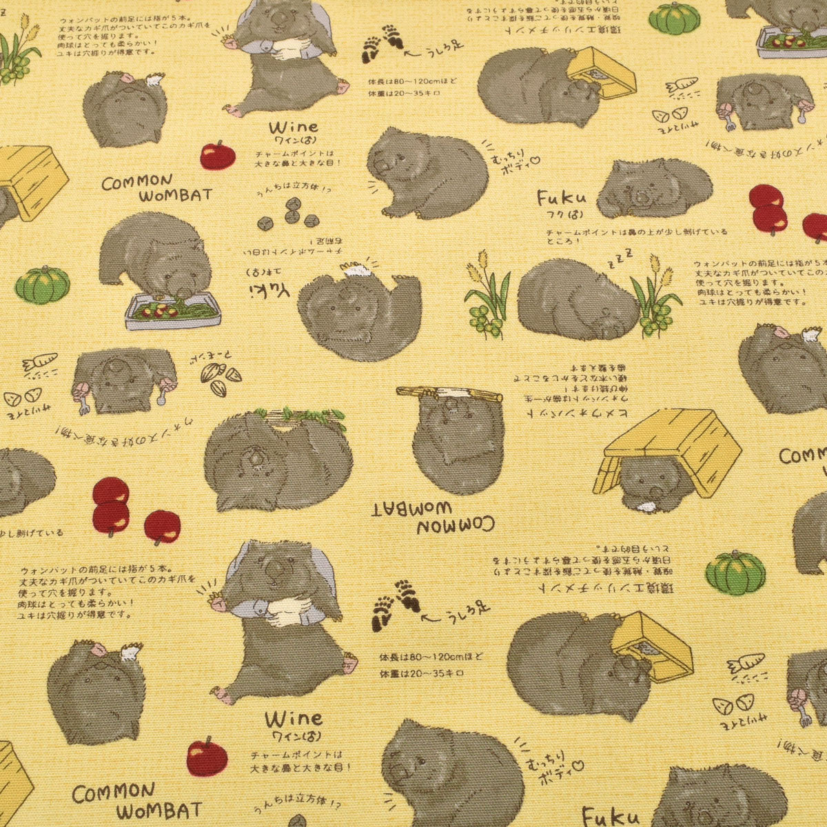 ウォンバット　オックス生地　AP62901　コスモ　(30cm以上10cm単位切り売り)