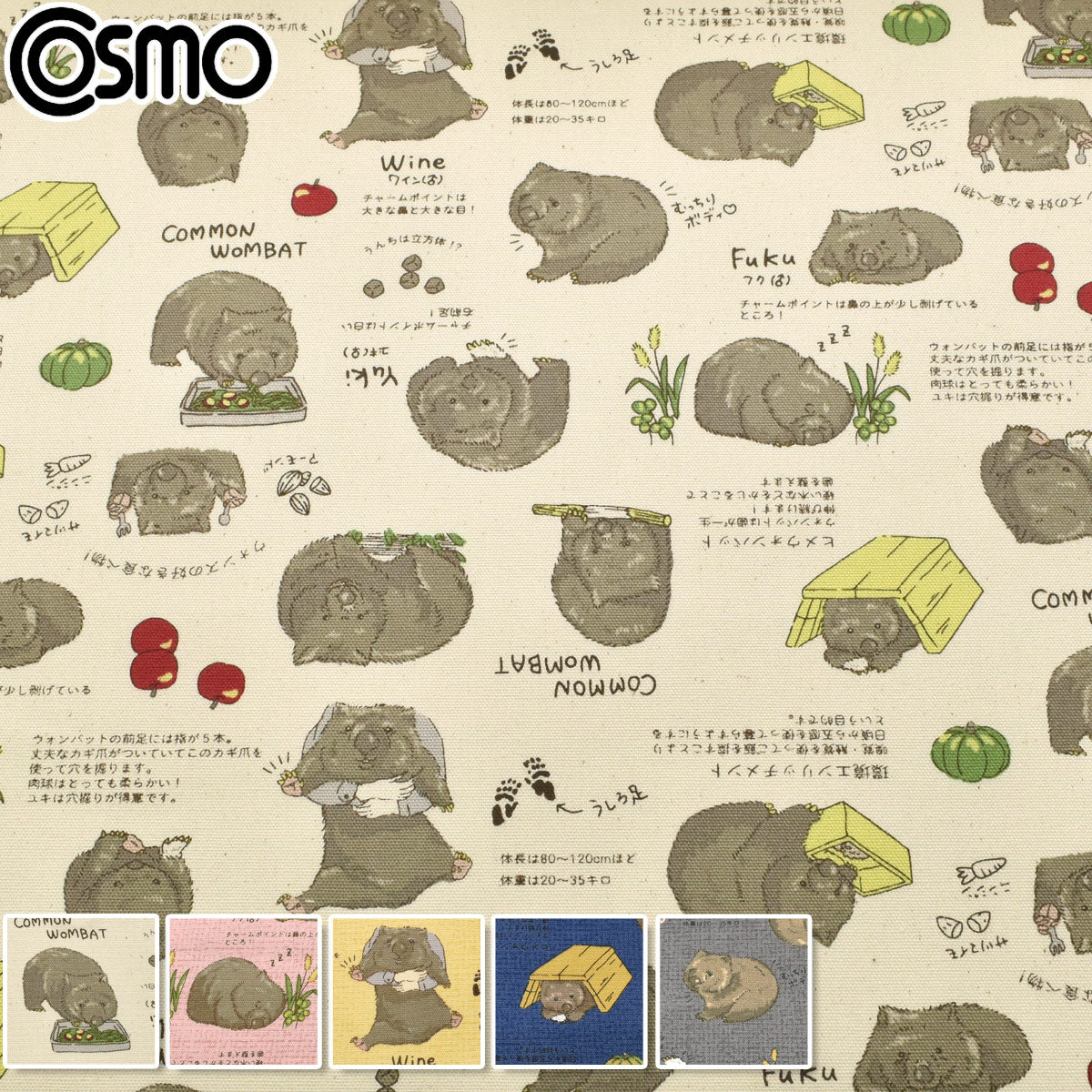 ウォンバットオックス生地AP62901コスモ(30cm以上10cm単位切り売り)