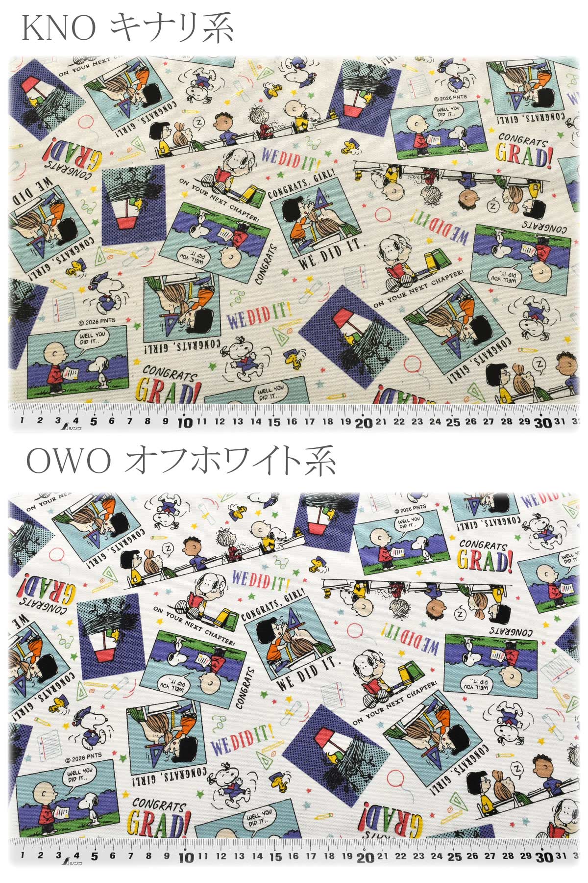 SNスクールズアウト オックス生地 清原 商用利用不可 (30cm以上10cm